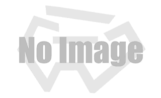 Chính thức của Grizzlies: Nhóm